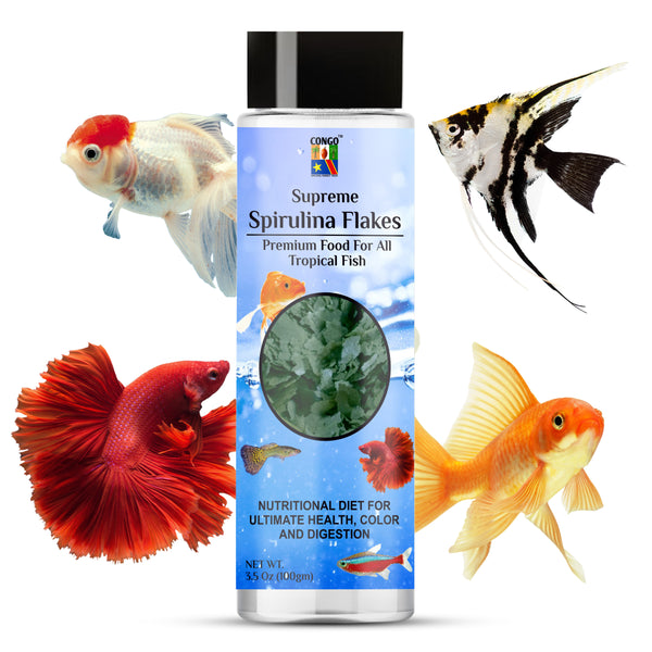 Congo Supreme Spirulina Flakes High Nutrition Fish Food for All Types of Tropical-100gm