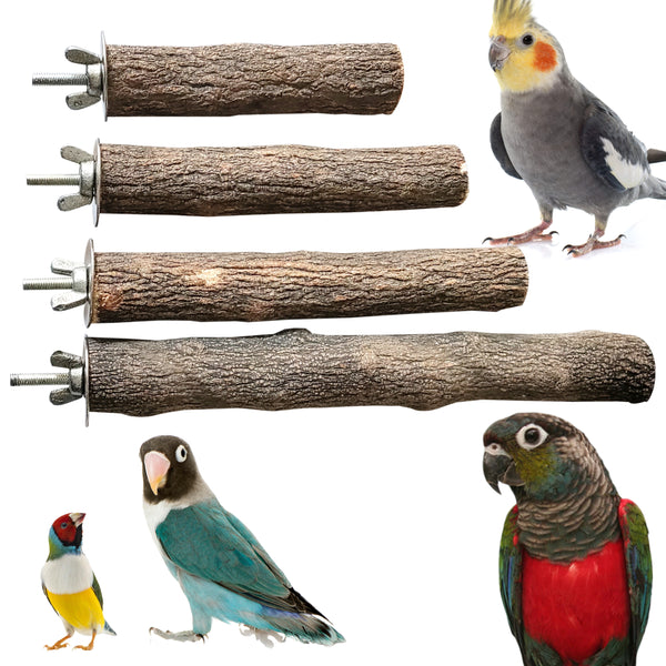 Congo® Mini 4pc Perch Set Natural Safe Chew for Budgies, Cockatiels, Lovebirds, Finches, Conure and Other Birds (Set of 4)
