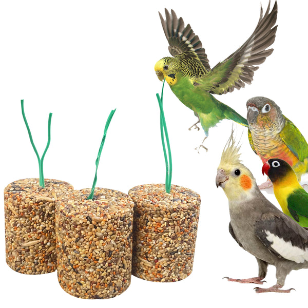 Congo® Set of 3 Seed Cake Block of High Nutritional Food Treat for Parakeet, Budgies, Lovebirds, Cockatiels, Conure and Other Birds