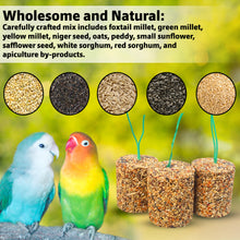 Congo® Set of 3 Seed Cake Block of High Nutritional Food Treat for Parakeet, Budgies, Lovebirds, Cockatiels, Conure and Other Birds