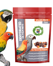 Congo® 300gm Dehydrated Oil Palm Nut for Parakeet, Cockatiels, Conure, Amazon, Senegal, African Grey, Macaw, Cockatoo, Eclectus and Other Birds, 300gm (Pack of 3)