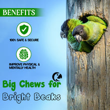 Congo® 45X35 cm Big Chew Toys Provide Essential of Wild for Conure, Senegal, Eclectus, Amazon, African Grey, Macaw, Cockatoos and Other Birds (Piece of 1)