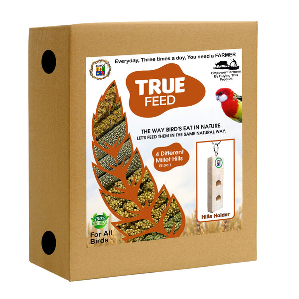 Congo® True Feed Different 4 Types of Millet Hills and Hills Holder (Foxtail, Barnyard, Sorghum, Pearl Millet) Foraging Bird Nutrition Food for Budgies, Lovebirds, Cockatiels, Conure, and Other Birds