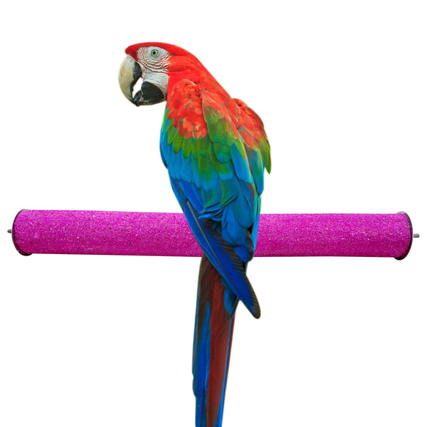 Congo Premium 18" Safe Chew Bird Sandy Sand Perch for Grinding Nail for African, Macaw, Cockatoos and Other Large Birds