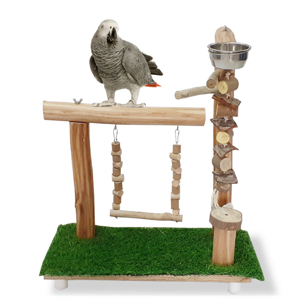Congo Gym Playing Stand 53X53X37cm for Bird Eucalyptus Wood | with Hanging Toy and Swing for Conure, Amazon, African Grey, Macaw and Other Birds