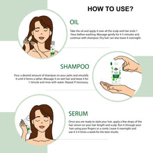 Root To Tip : Hair Growth Kit | Shampoo, Oil, Serum +  Charcoal Scrub