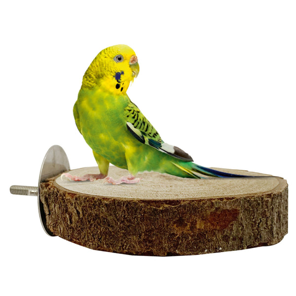Congo 5 Inch Essential Wooden Round Platform for Budgies, Lovebirds and Other Birds (Piece of 1)