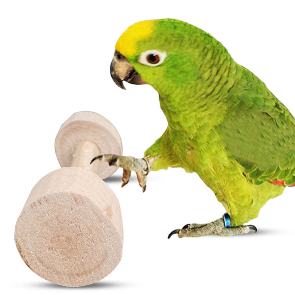 Congo® 2pc. 4.5X2 Inch Rolling Roller Toy for Finches, Budgies, Conures, Lovebirds, Cockatiels and Other Birds (Pack of 2)