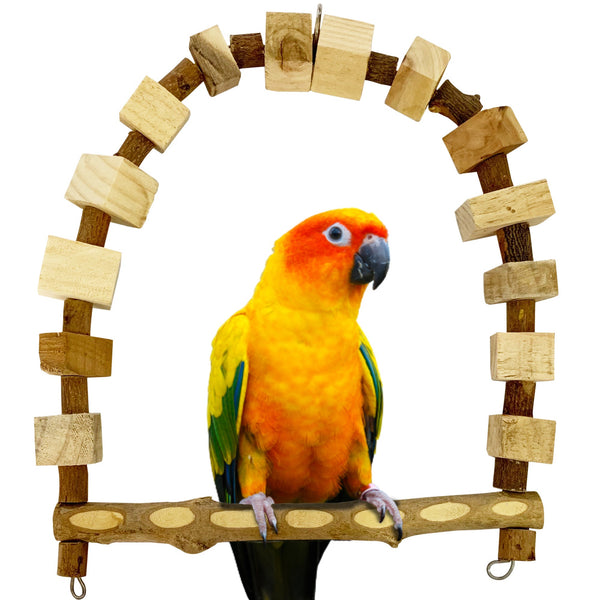 Congo® 18X12 Inch Bird Swing Wooden Bird Toys Cage Accessories for Conure, African Grey, Senegal, Amazon, Macaw and Other Birds Piece of 1