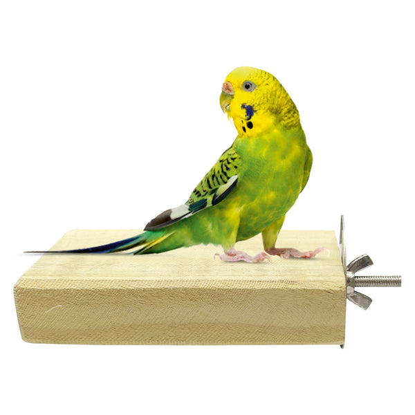 Congo® 5 inch Chew-Safe Wood Sitting Platform Bird Toy for Budgies, Love Bird, Cockatiel and Other (Piece of 1)