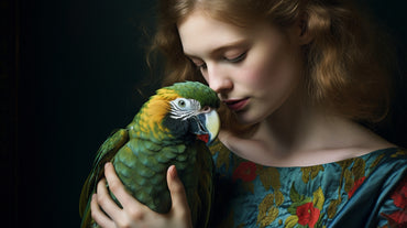 A Guide to Caring for Your Feathered Friend | How to Take Care of a Parrot at Home
