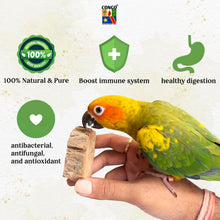 Congo® Essential Natural Super Nutritious Chewing Wood Toy for Conure, Senegal, African Grey, Amazon and Other Birds Food (8 pcs.)