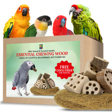 Congo® Essential Natural Super Nutritious Chewing Wood Toy for Conure, Senegal, African Grey, Amazon and Other Birds Food (8 pcs.)